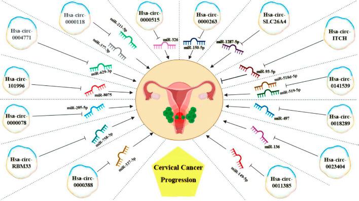 https://cdn.ncbi.nlm.nih.gov/pmc/blobs/444e/10906305/b320442833e7/fcell-12-1308730-g003.jpg