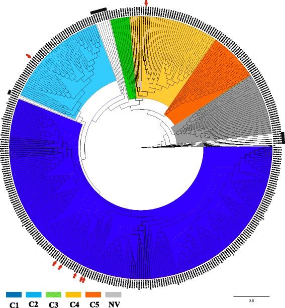 https://cdn.ncbi.nlm.nih.gov/pmc/blobs/444f/5348806/67b2d4206471/12866_2017_969_Fig3_HTML.jpg