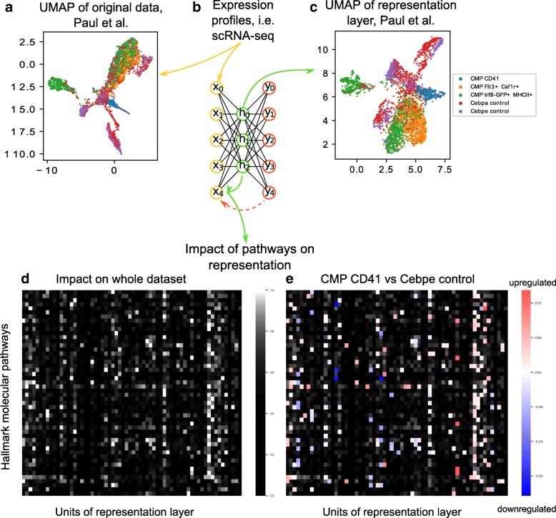 https://cdn.ncbi.nlm.nih.gov/pmc/blobs/4451/6615267/97d9df7fed44/12859_2019_2952_Fig1_HTML.jpg