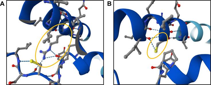 https://cdn.ncbi.nlm.nih.gov/pmc/blobs/4453/12285252/e2ddc9089297/aem.00599-25.f007.jpg