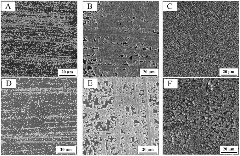 https://cdn.ncbi.nlm.nih.gov/pmc/blobs/4455/12029927/3aac49c94150/molecules-30-01771-g002.jpg