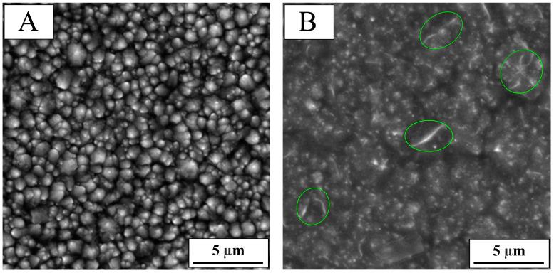 https://cdn.ncbi.nlm.nih.gov/pmc/blobs/4455/12029927/dd0dbf02497d/molecules-30-01771-g001.jpg