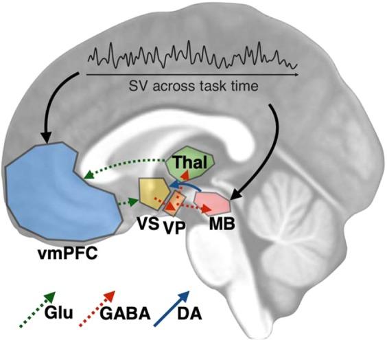 https://cdn.ncbi.nlm.nih.gov/pmc/blobs/4456/6934551/65255442728a/41598_2019_56858_Fig4_HTML.jpg