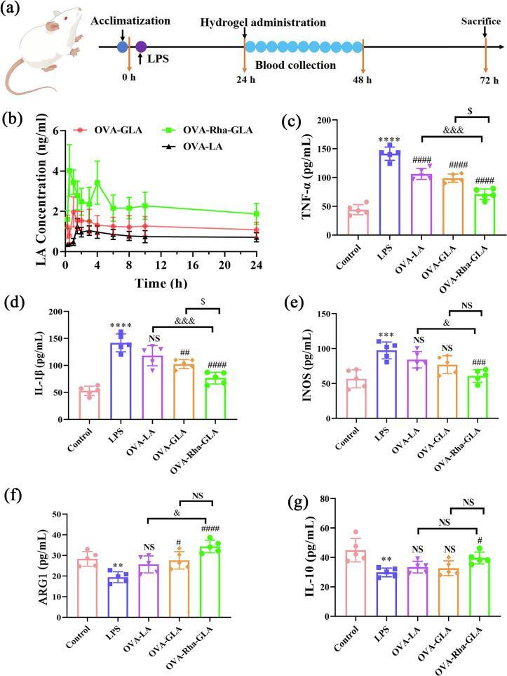 https://cdn.ncbi.nlm.nih.gov/pmc/blobs/445c/12167039/2fae7895c2c2/gr9.jpg