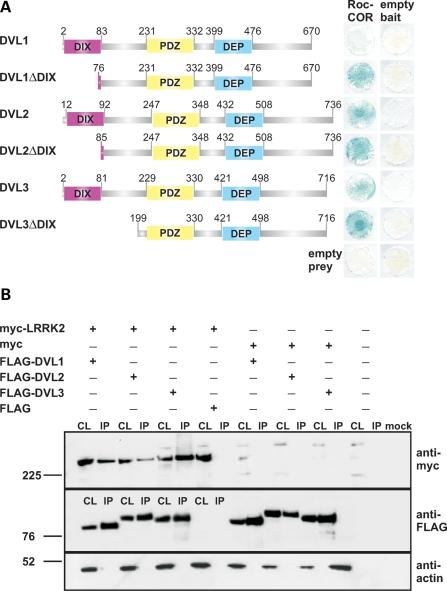 https://cdn.ncbi.nlm.nih.gov/pmc/blobs/445d/2748899/e67f3756f017/ddp33701.jpg