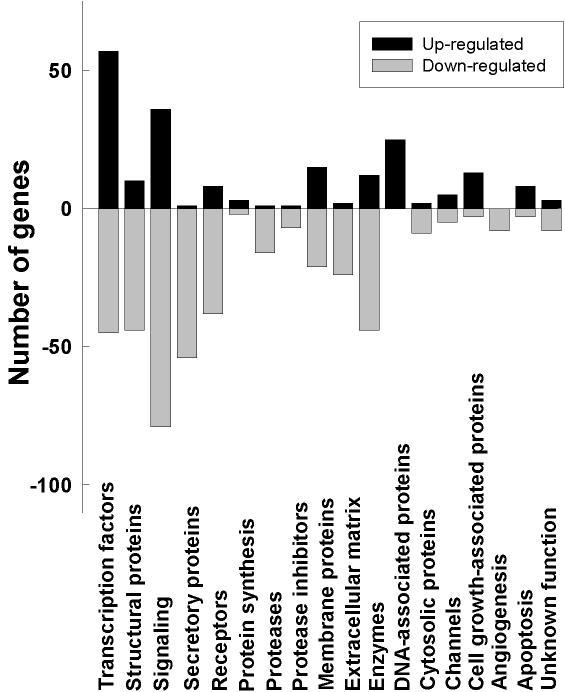 https://cdn.ncbi.nlm.nih.gov/pmc/blobs/445e/153489/10e9973848ea/1476-4598-2-19-2.jpg