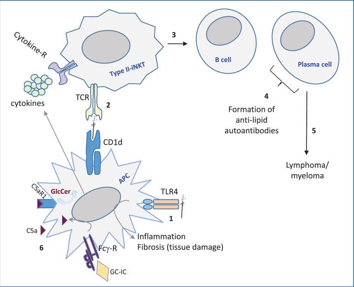 https://cdn.ncbi.nlm.nih.gov/pmc/blobs/4460/7517347/4683b8ab3e36/ebc-64-ebc20190090-g3.jpg