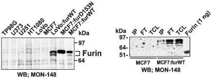 https://cdn.ncbi.nlm.nih.gov/pmc/blobs/4462/2892035/25549c749547/pone.0011305.g007.jpg