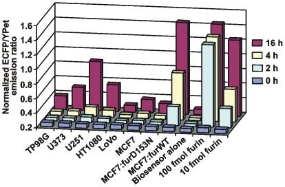 https://cdn.ncbi.nlm.nih.gov/pmc/blobs/4462/2892035/b7eac3380386/pone.0011305.g005.jpg