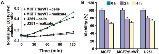 https://cdn.ncbi.nlm.nih.gov/pmc/blobs/4462/2892035/cbd6661e9408/pone.0011305.g011.jpg