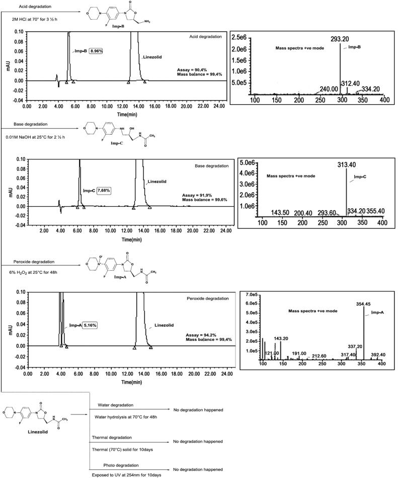 https://cdn.ncbi.nlm.nih.gov/pmc/blobs/4463/5760913/8c7df945ab02/gr3.jpg