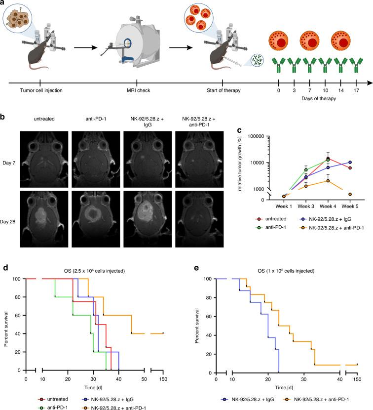 https://cdn.ncbi.nlm.nih.gov/pmc/blobs/4464/12041480/8b100a23583a/41416_2025_2977_Fig3_HTML.jpg