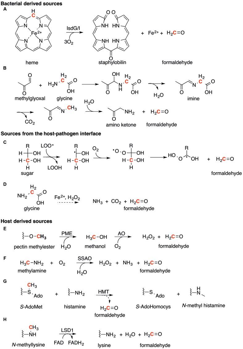 https://cdn.ncbi.nlm.nih.gov/pmc/blobs/4464/4776306/d23c313db89b/fmicb-07-00257-g007.jpg