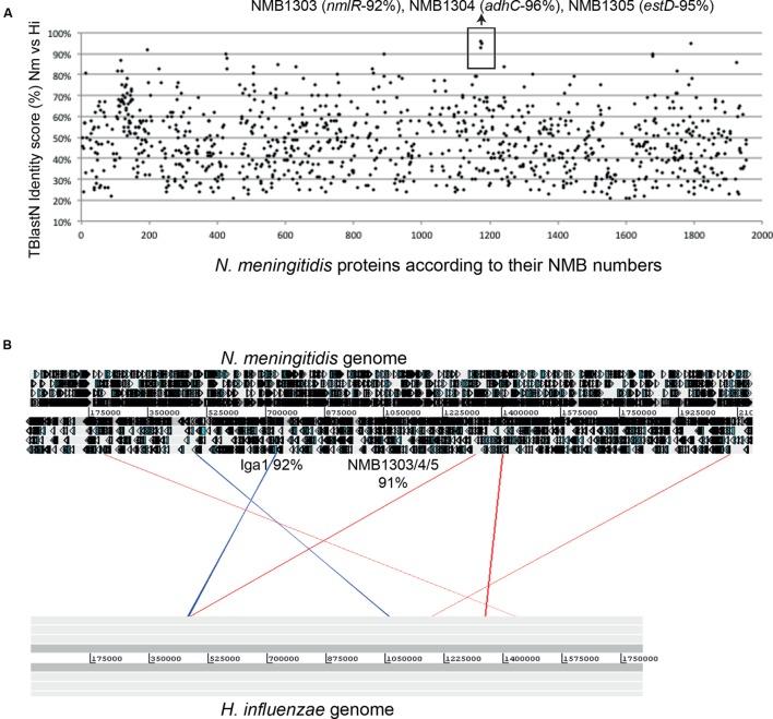 https://cdn.ncbi.nlm.nih.gov/pmc/blobs/4464/4776306/ed08c85c3c20/fmicb-07-00257-g006.jpg