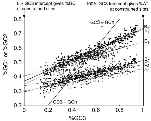 https://cdn.ncbi.nlm.nih.gov/pmc/blobs/4467/31479/1388cef179c4/gb-2001-2-4-research0010-3.jpg