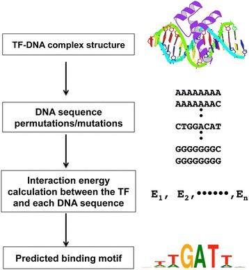 https://cdn.ncbi.nlm.nih.gov/pmc/blobs/446a/5514533/888ff5c9a925/12859_2017_1755_Fig1_HTML.jpg