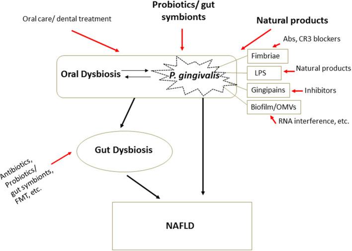 https://cdn.ncbi.nlm.nih.gov/pmc/blobs/446d/8924514/d3b48a42ee5e/fmed-09-822190-g0003.jpg