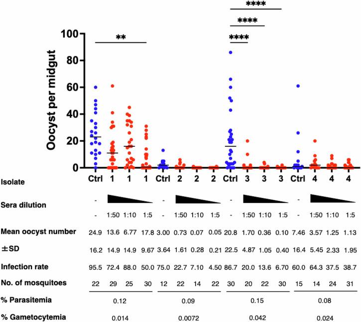 https://cdn.ncbi.nlm.nih.gov/pmc/blobs/446e/12297270/0588bab24a61/41541_2025_1229_Fig7_HTML.jpg