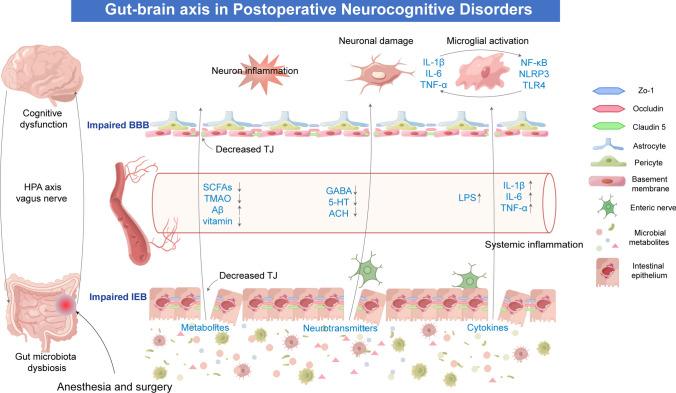 https://cdn.ncbi.nlm.nih.gov/pmc/blobs/4471/11584502/2b23cb698f04/12035_2024_4228_Fig2_HTML.jpg