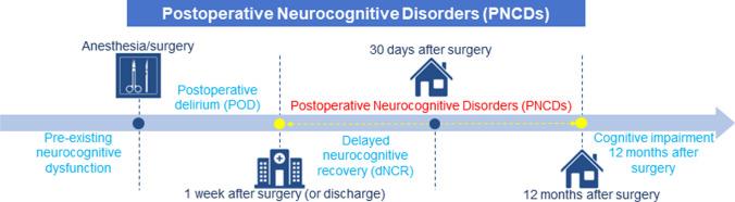 https://cdn.ncbi.nlm.nih.gov/pmc/blobs/4471/11584502/86a0a04b0bde/12035_2024_4228_Fig1_HTML.jpg