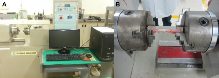 https://cdn.ncbi.nlm.nih.gov/pmc/blobs/4471/4792178/336d40a41ed6/ijn-11-941Fig6.jpg