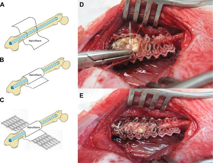 https://cdn.ncbi.nlm.nih.gov/pmc/blobs/4471/4792178/be1f07ca3979/ijn-11-941Fig4.jpg