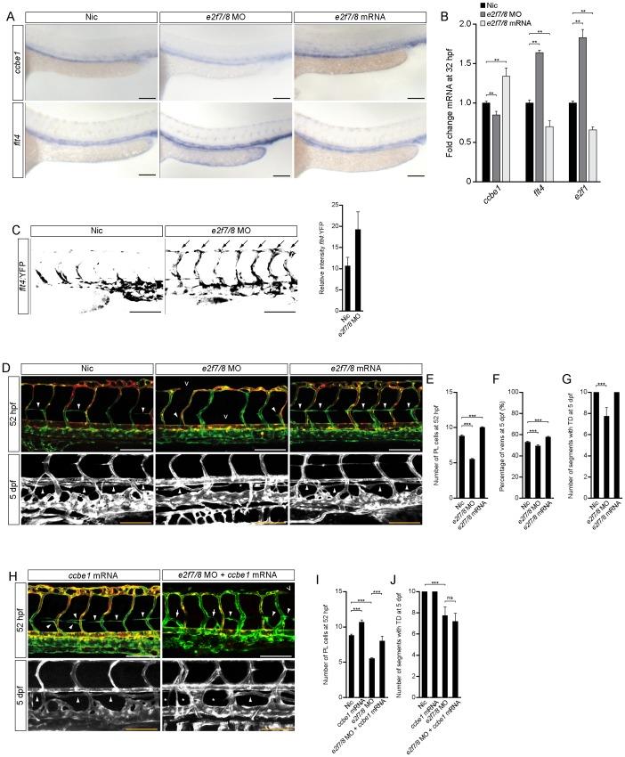 https://cdn.ncbi.nlm.nih.gov/pmc/blobs/4472/3771987/8a76c5814d80/pone.0073693.g002.jpg