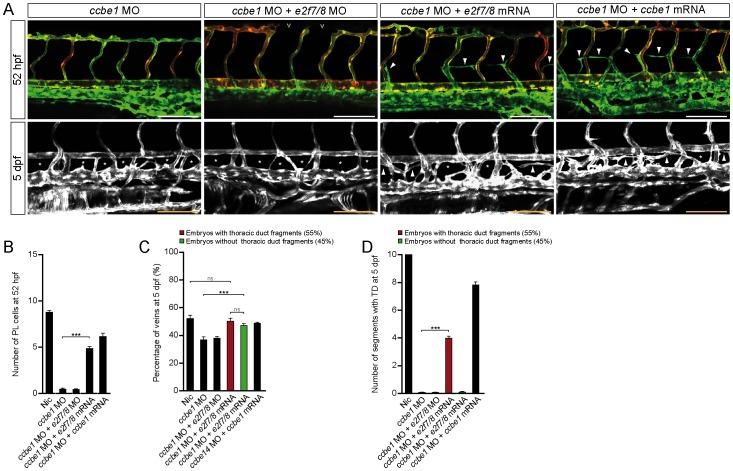 https://cdn.ncbi.nlm.nih.gov/pmc/blobs/4472/3771987/c63c89322989/pone.0073693.g003.jpg