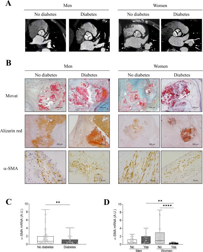 https://cdn.ncbi.nlm.nih.gov/pmc/blobs/4474/10583330/22b14d44fa2d/12933_2023_2009_Fig1_HTML.jpg