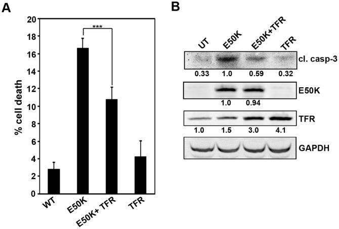 https://cdn.ncbi.nlm.nih.gov/pmc/blobs/4474/3994150/1cfd15f7d749/pone.0095758.g002.jpg