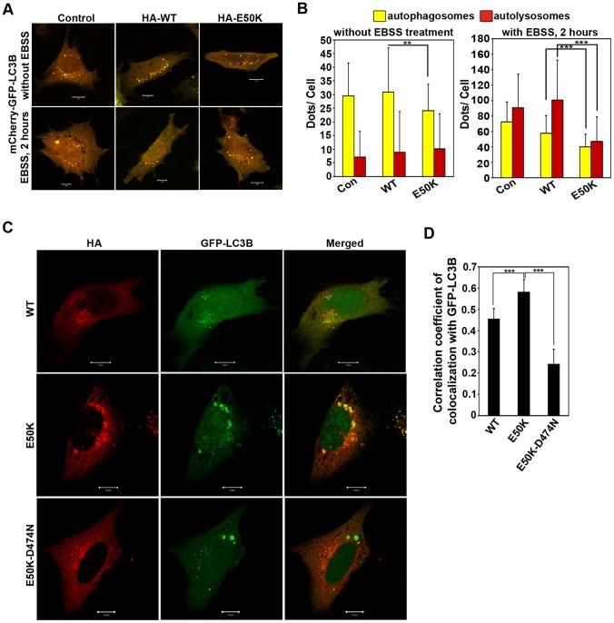 https://cdn.ncbi.nlm.nih.gov/pmc/blobs/4474/3994150/e33313d7f974/pone.0095758.g003.jpg