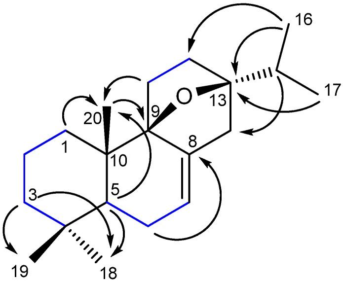 https://cdn.ncbi.nlm.nih.gov/pmc/blobs/4478/6271109/91bf252dcad2/molecules-19-00514-g002.jpg