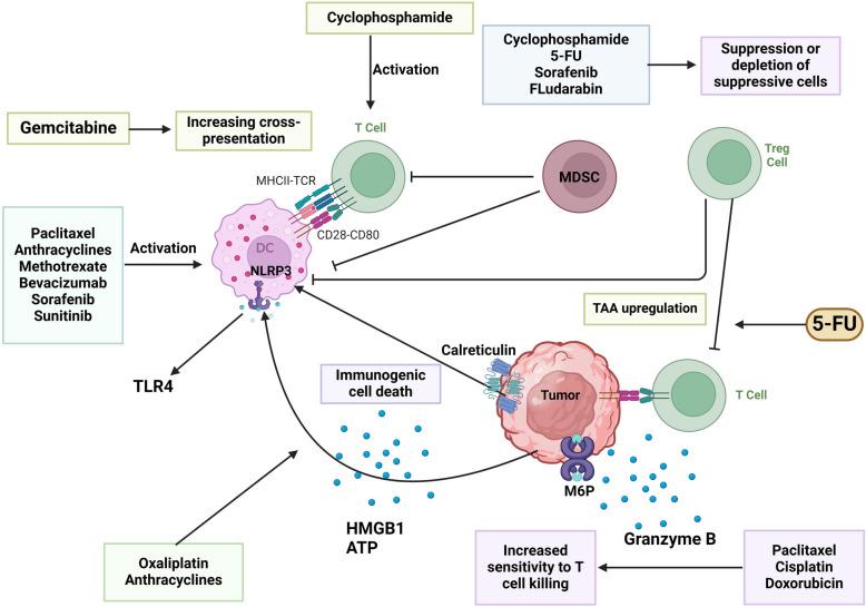 https://cdn.ncbi.nlm.nih.gov/pmc/blobs/4479/12057291/f9d772020613/12943_2025_2305_Fig4_HTML.jpg