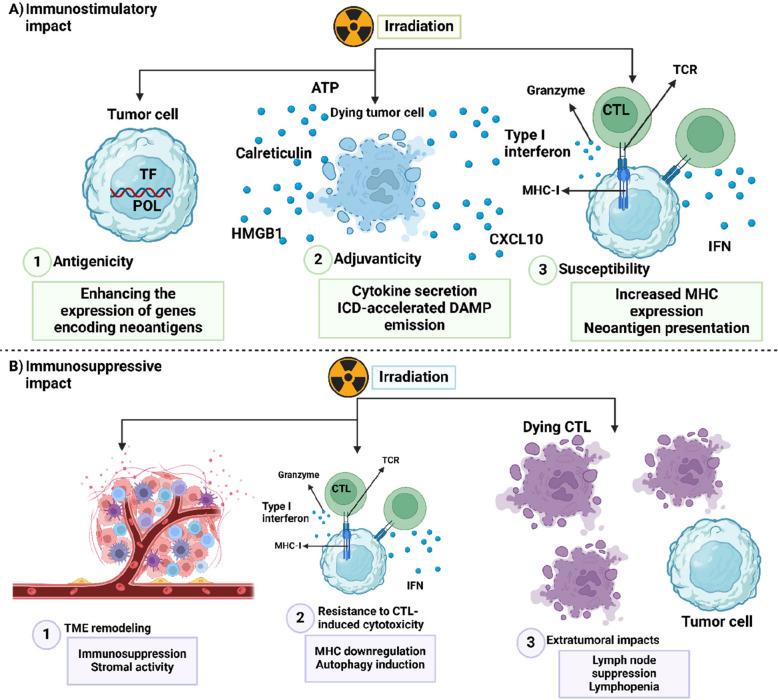 https://cdn.ncbi.nlm.nih.gov/pmc/blobs/4479/12057291/fa65372ec4ad/12943_2025_2305_Fig5_HTML.jpg