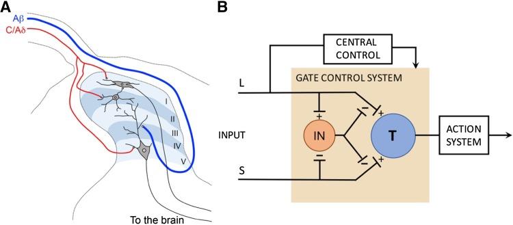 https://cdn.ncbi.nlm.nih.gov/pmc/blobs/4479/5799122/4419149b31b2/12264_2017_136_Fig1_HTML.jpg