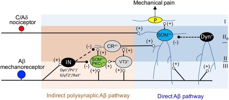 https://cdn.ncbi.nlm.nih.gov/pmc/blobs/4479/5799122/7fcb07e7d3ae/12264_2017_136_Fig3_HTML.jpg