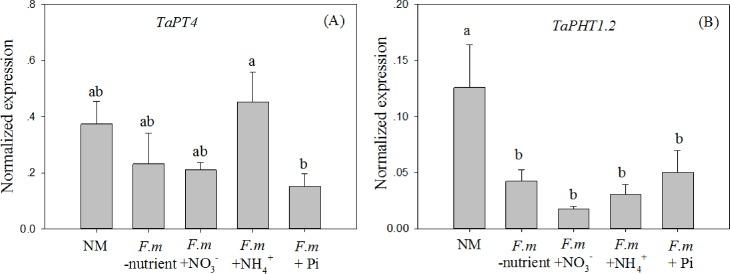 https://cdn.ncbi.nlm.nih.gov/pmc/blobs/447a/5312871/069de095f564/pone.0172154.g002.jpg