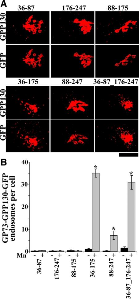 https://cdn.ncbi.nlm.nih.gov/pmc/blobs/447c/2847531/61deec0c10a0/zmk0071094020010.jpg
