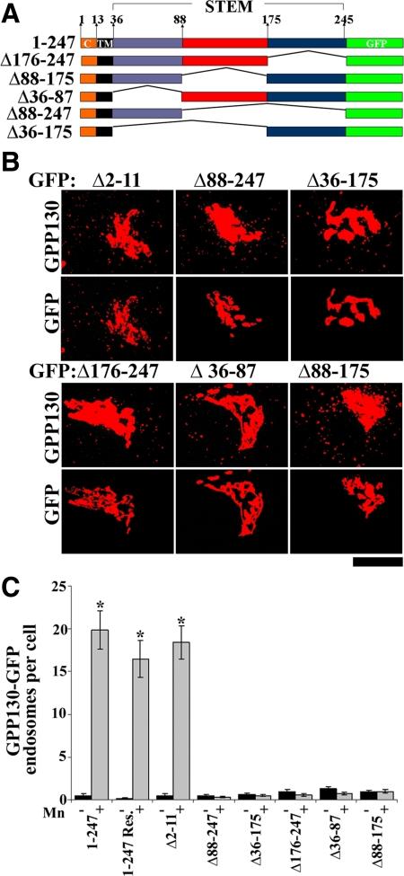 https://cdn.ncbi.nlm.nih.gov/pmc/blobs/447c/2847531/774e2b9e2c3e/zmk0071094020007.jpg