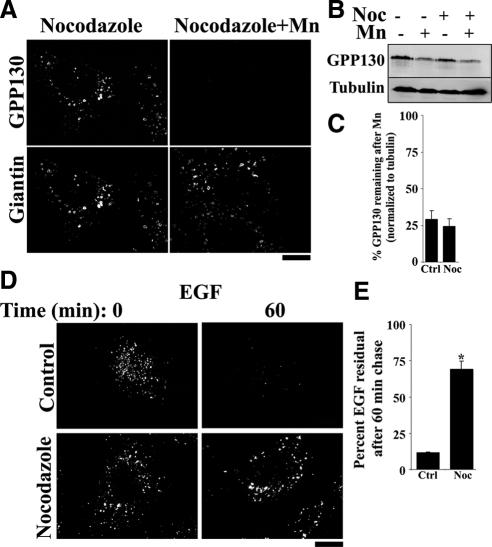 https://cdn.ncbi.nlm.nih.gov/pmc/blobs/447c/2847531/8780ebad2ddd/zmk0071094020004.jpg