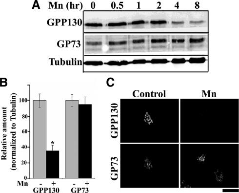 https://cdn.ncbi.nlm.nih.gov/pmc/blobs/447c/2847531/b3bcda1d26ec/zmk0071094020001.jpg
