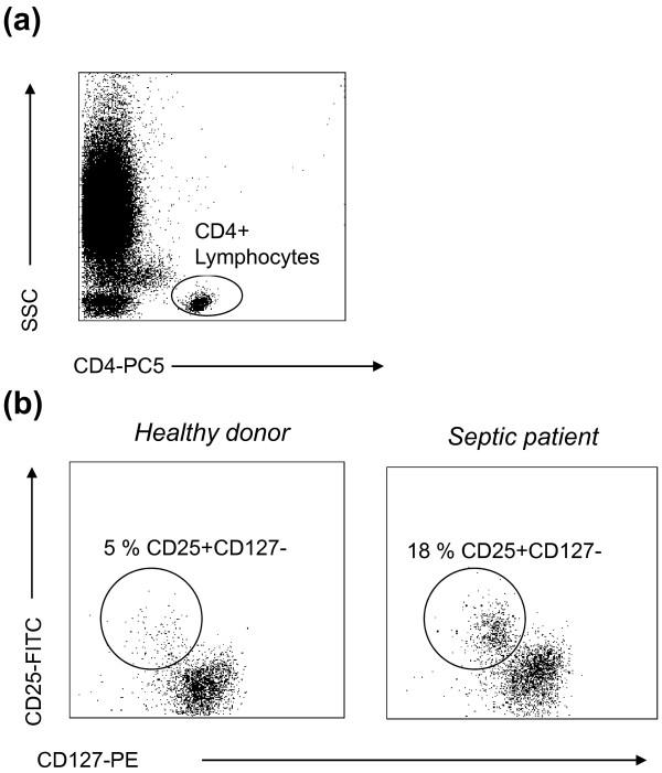 https://cdn.ncbi.nlm.nih.gov/pmc/blobs/447c/3334725/194bfc21d834/cc10333-4.jpg