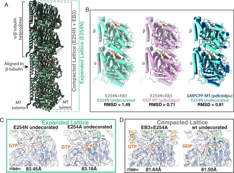 https://cdn.ncbi.nlm.nih.gov/pmc/blobs/447c/8764682/5959d485c920/pnas.2114994119fig04.jpg