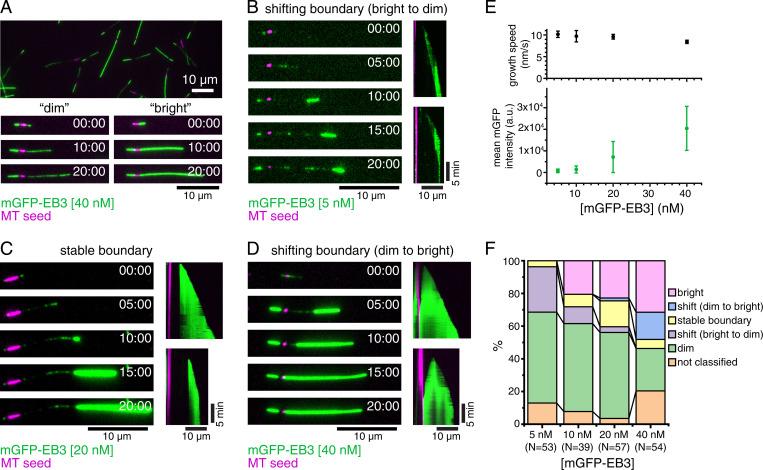 https://cdn.ncbi.nlm.nih.gov/pmc/blobs/447c/8764682/5aa2032371b2/pnas.2114994119fig02.jpg