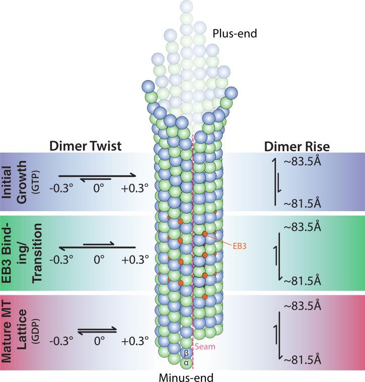 https://cdn.ncbi.nlm.nih.gov/pmc/blobs/447c/8764682/9407f65bfa26/pnas.2114994119fig06.jpg