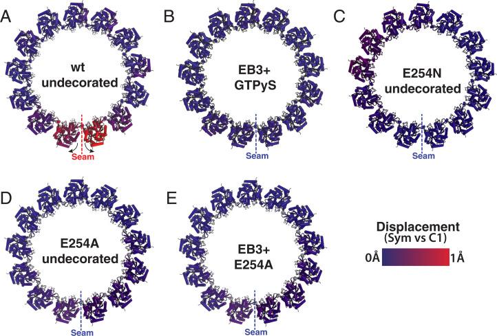 https://cdn.ncbi.nlm.nih.gov/pmc/blobs/447c/8764682/b43896282e9b/pnas.2114994119fig05.jpg