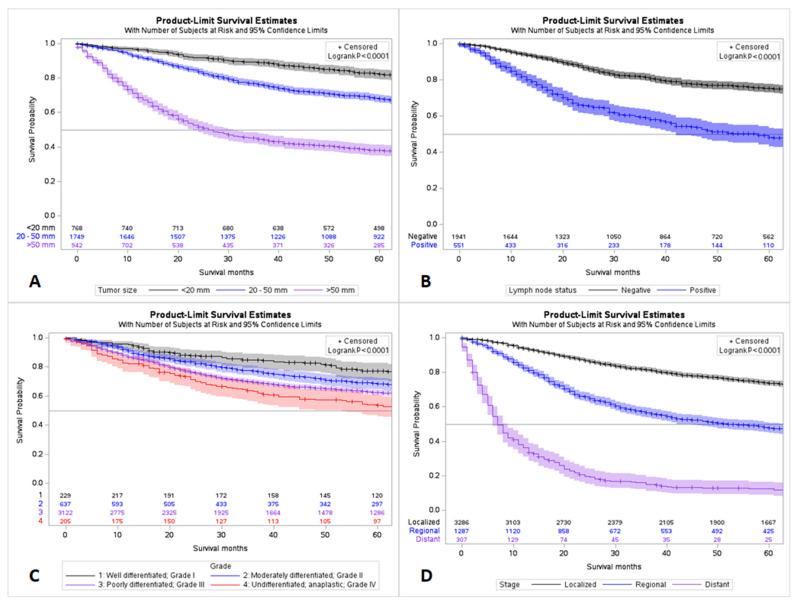 https://cdn.ncbi.nlm.nih.gov/pmc/blobs/447e/10251813/cb29bc6b989f/cancers-15-02954-g001.jpg