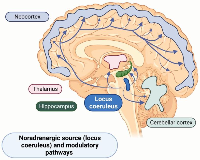 https://cdn.ncbi.nlm.nih.gov/pmc/blobs/447e/10366907/f3411ca0bfda/geriatrics-08-00075-g003.jpg