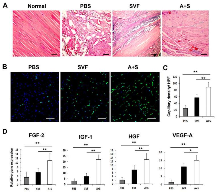 https://cdn.ncbi.nlm.nih.gov/pmc/blobs/447e/8745515/d03ff380cd3a/ijms-23-00185-g005.jpg