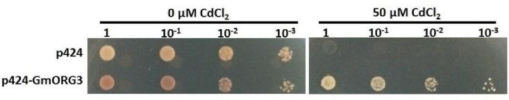 https://cdn.ncbi.nlm.nih.gov/pmc/blobs/4480/5487394/95713b6228bd/fpls-08-01098-g006.jpg